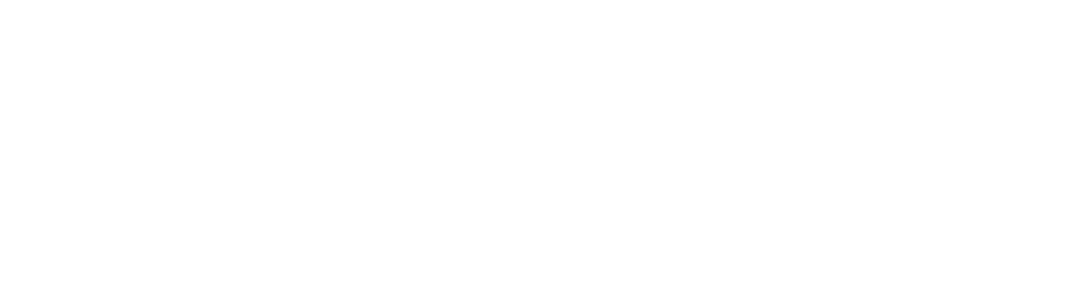 Solayer - Wrapped partner logo