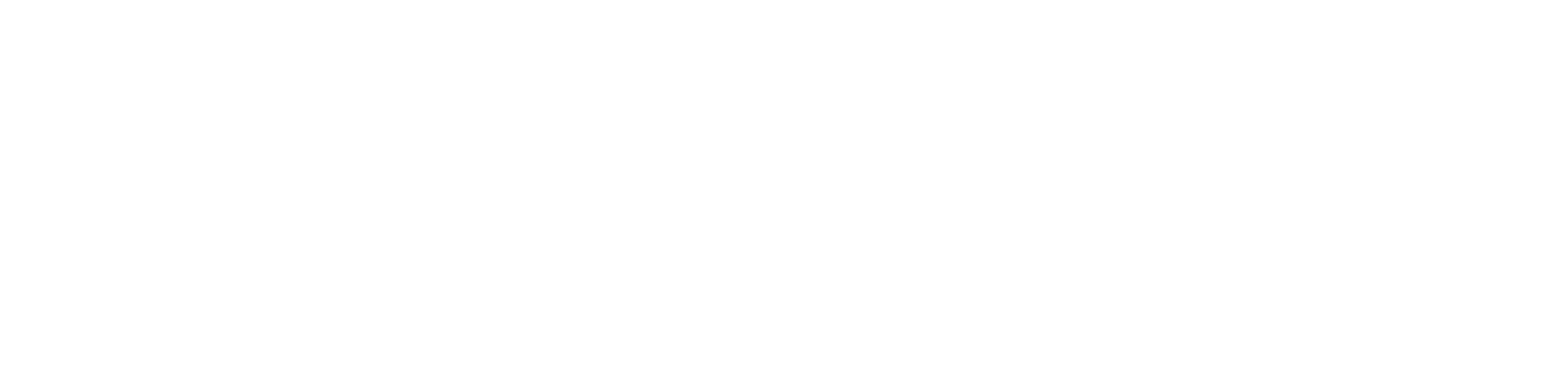 Stellar - Wrapped partner logo
